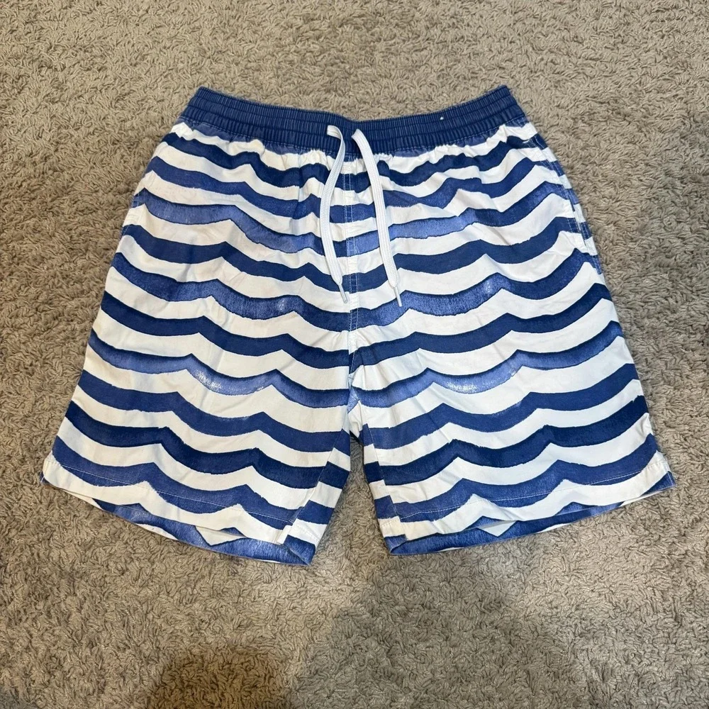 Chubbies Swim Shorts Mens Small Blue Wave Stripe Mesh Lined Quick Dry Trunks